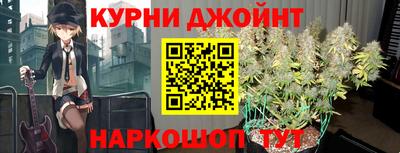 крисы Лесосибирск